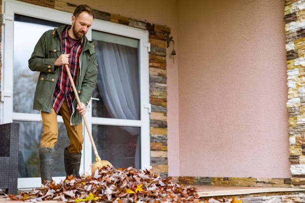 Best Yard Cleanup Services  in Egypt, AL