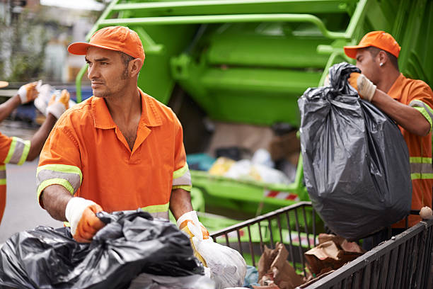 Best Office Junk Removal  in Egypt, AL